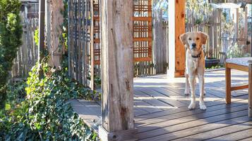 Enceinte de lâhĂ©bergement