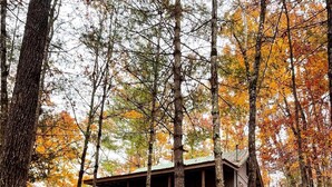 A cabin surrounded by trees with autumn leaves. - Mountain Cabin with creek and hiking trail! Minutes from Blue Ridge (Morganton)
