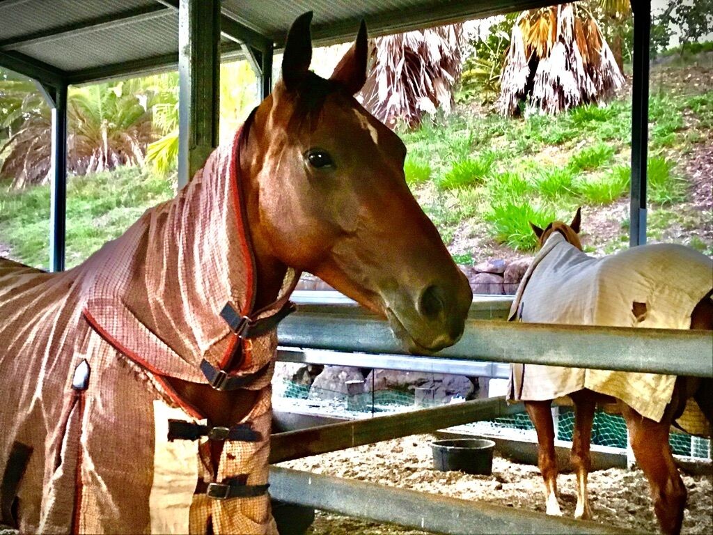 POORINDA RETREAT — image 3