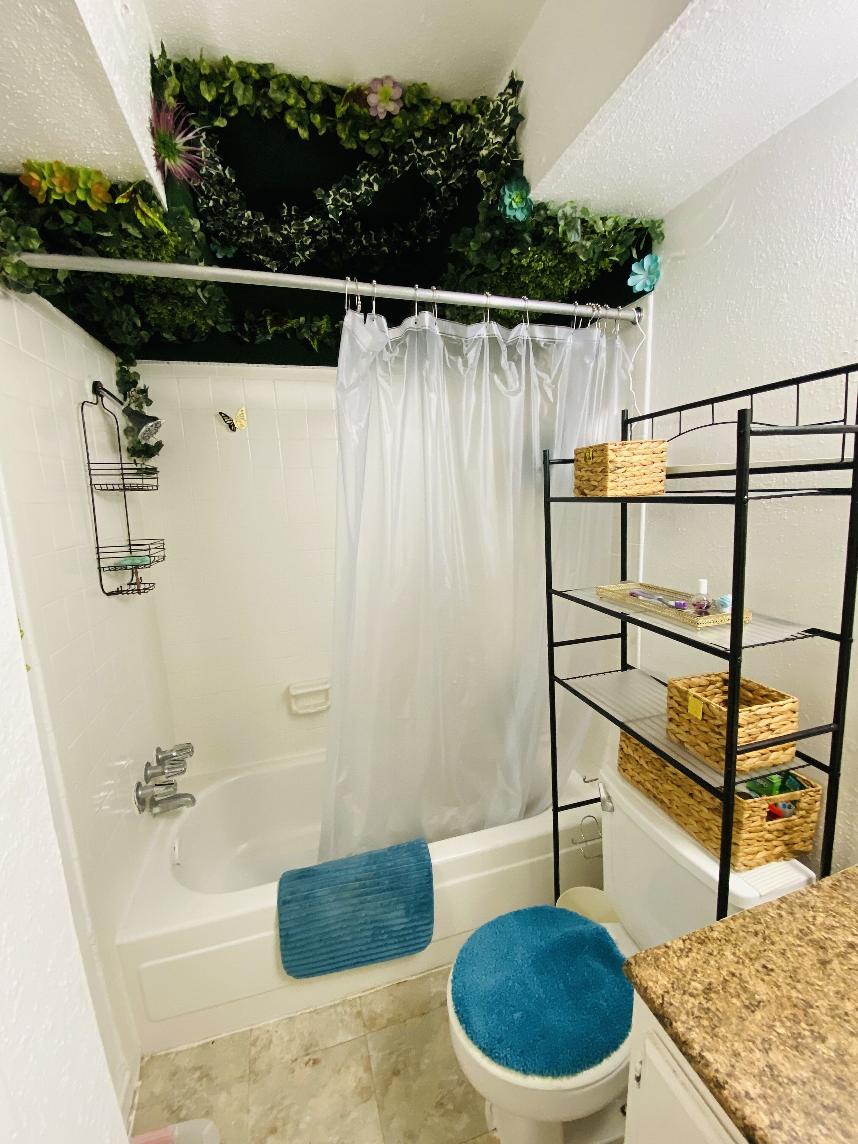 Ensemble douche/baignoire