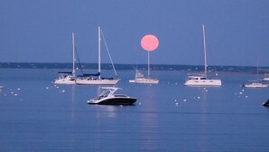 Un port de plaisance où plusieurs voiliers et yachts sont amarrés dans des eaux calmes.