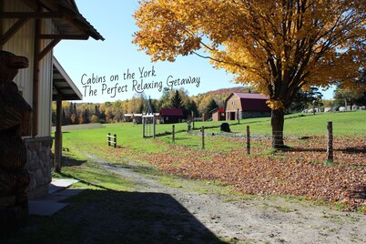 Cabins on the York - Cabin #4 - Wolf Cabin