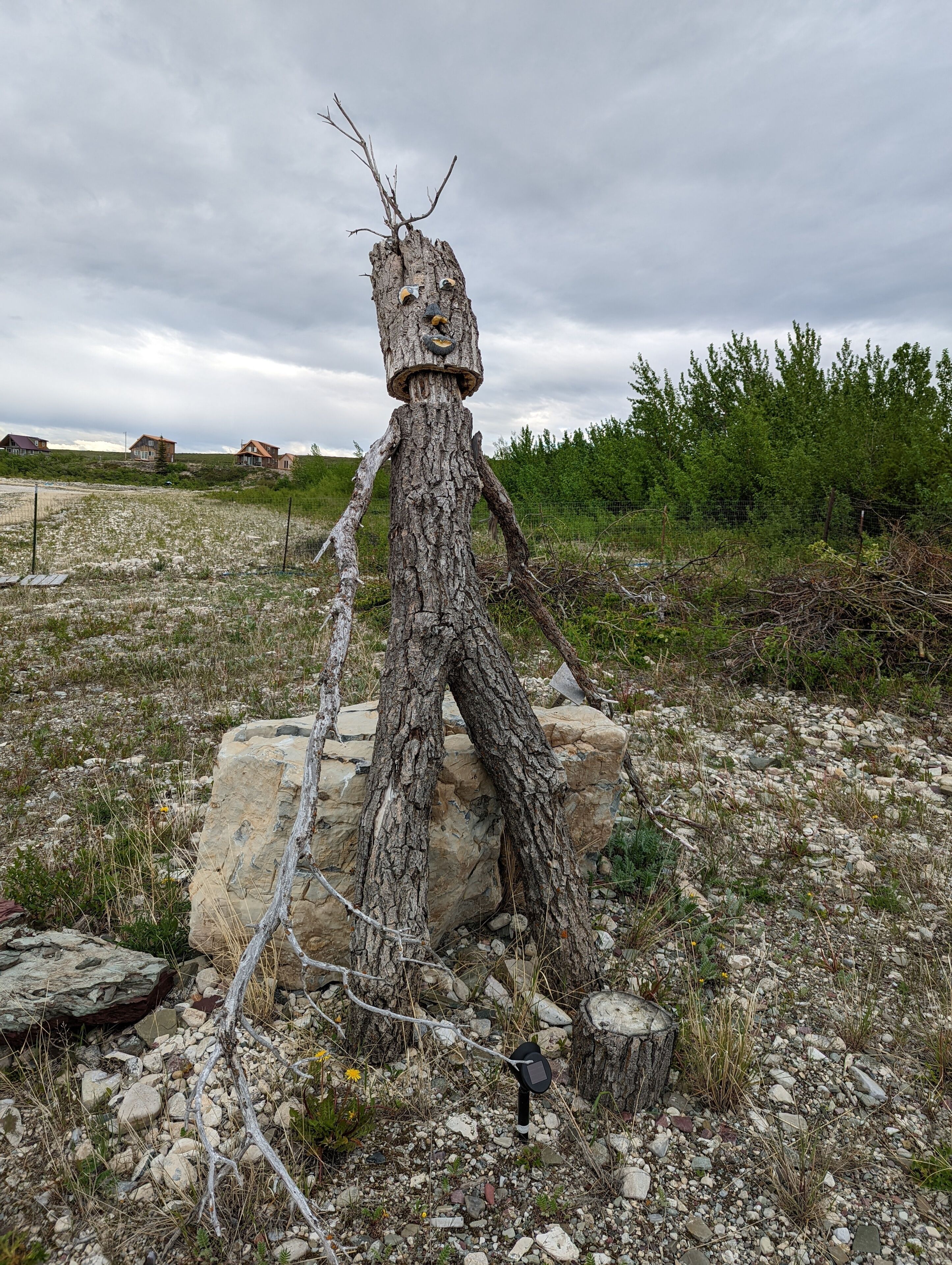Un arbre sur lequel est sculptée une figure anthropomorphe, dressé sur un terrain rocheux avec une clôture en arrière-plan.