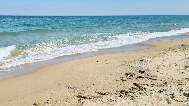 A beach with clear blue water and a sandy shore. - Brand New Apartment with pool, gym and playground (Kamchia)