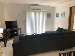 Televisor 