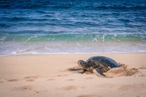Rannalla