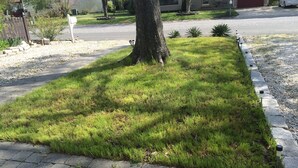 A well-maintained lawn with a tree in the center, bordered by a stone curb. - NEW! Steps to DE Bay BEACH & Parks, Short Ride Cape May, Wildwood, Stone Harbor! (Cape May Beach)