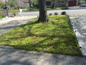 Property grounds - NEW! Steps to DE Bay BEACH & Parks, Short Ride Cape May, Wildwood, Stone Harbor! (Cape May Beach)