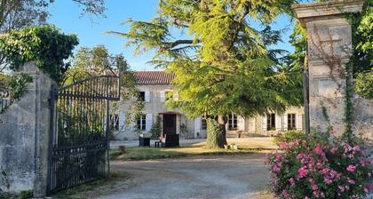 Petite pause au Clos Saint Martin de Juillers