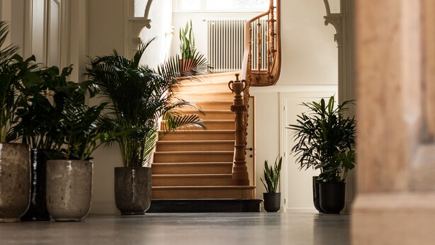 Eine prachtvolle Treppe mit hölzernem Geländer und weißer Balustrade führt zu einer Empore mit einem großen Fenster. An beiden Seiten der Treppe stehen Kübelpflanzen.