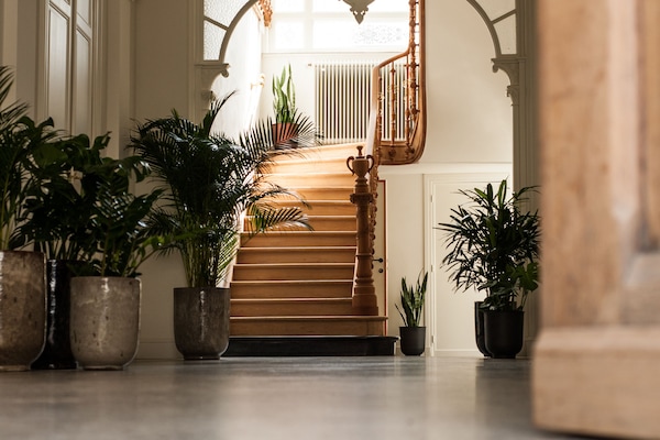 Interior de l'entrada