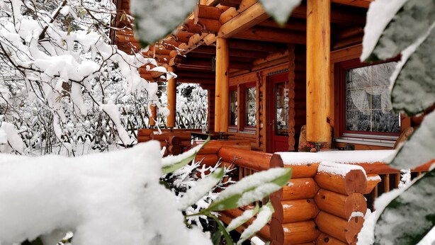 Una cabaña de troncos con un porche de madera y una puerta roja, rodeada de árboles cubiertos de nieve.