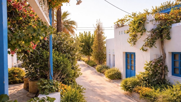 A narrow street flanked by white buildings with blue doors and windows, surrounded by lush greenery and potted plants.