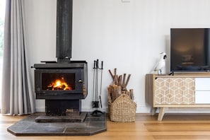 A modern living room with a wood-burning stove, a television on a wooden cabinet, and a parrot perched on the cabinet. - Gigglewiggy, Somers. (Somers)
