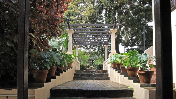 A staircase leading to a covered area with potted plants on either side. - Nava Suites (San Cristóbal de La Laguna)
