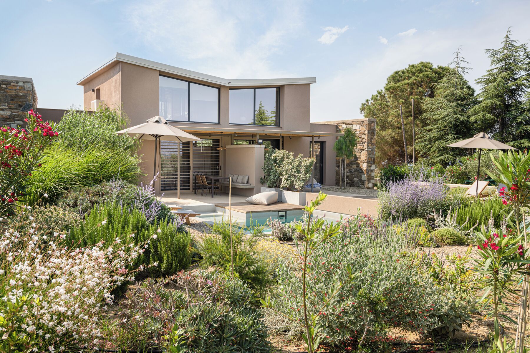 Una casa moderna con piscina, rodeada de diversas plantas y árboles.