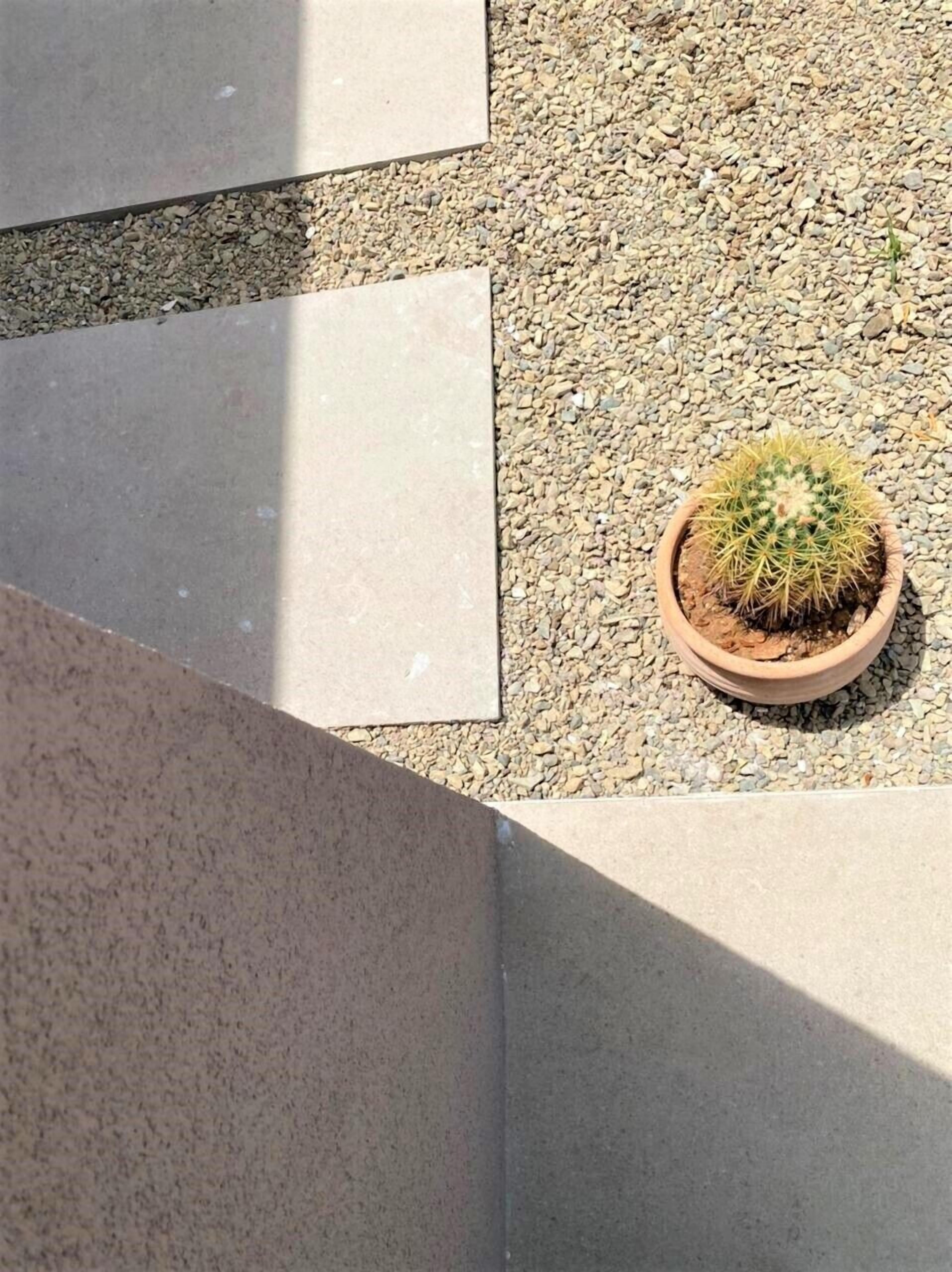 A cactus in a terracotta pot on a gravel surface with geometric concrete slabs.