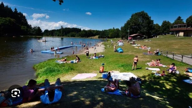 En park ved søen med folk, der solbader, svømmer og sejler.