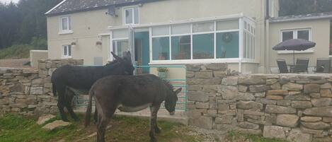 House, Multiple Beds | Exterior