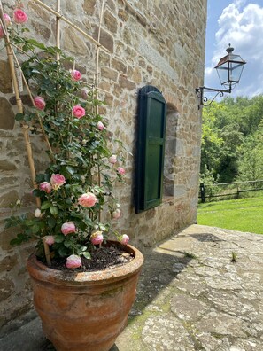 Détail de l’extérieur