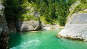 Ein Fluss, umgeben von bewaldeten Hügeln.