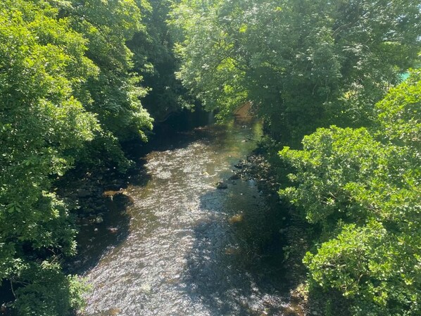 A river flowing through a densely wooded area. - 2-bed Flat in Summerbridge Harrogate, Pet Friendly (Harrogate)