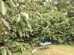 Property grounds - Côté quai, charming gîte near Barbizon (Cély)