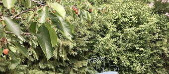 Côté quai, Gîte de charme proche Barbizon