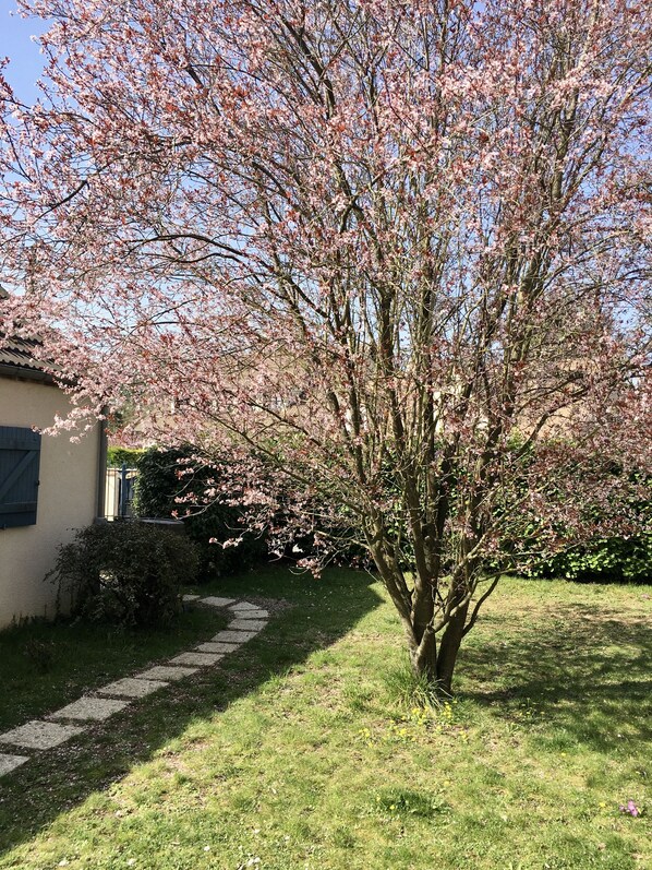 Àrea exterior de l'allotjament