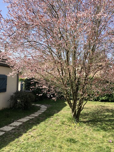 Côté quai, charming gîte near Barbizon