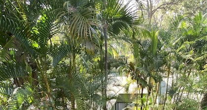 🌟 Byron bay treetop getaway 🌟