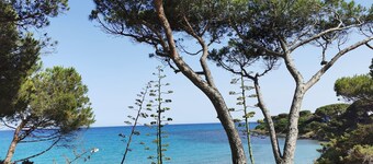 House Facing the Sea in Sas Linnas Siccas