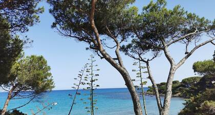 House Facing the Sea in Sas Linnas Siccas