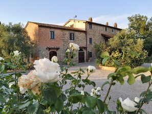 Exterior - Villa La Mucchia Lavanda # 7 (Cortona)