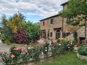 Exterior - Villa La Mucchia Lavanda # 7 (Cortona)