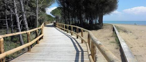 Plage à proximité