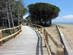 Plage à proximité