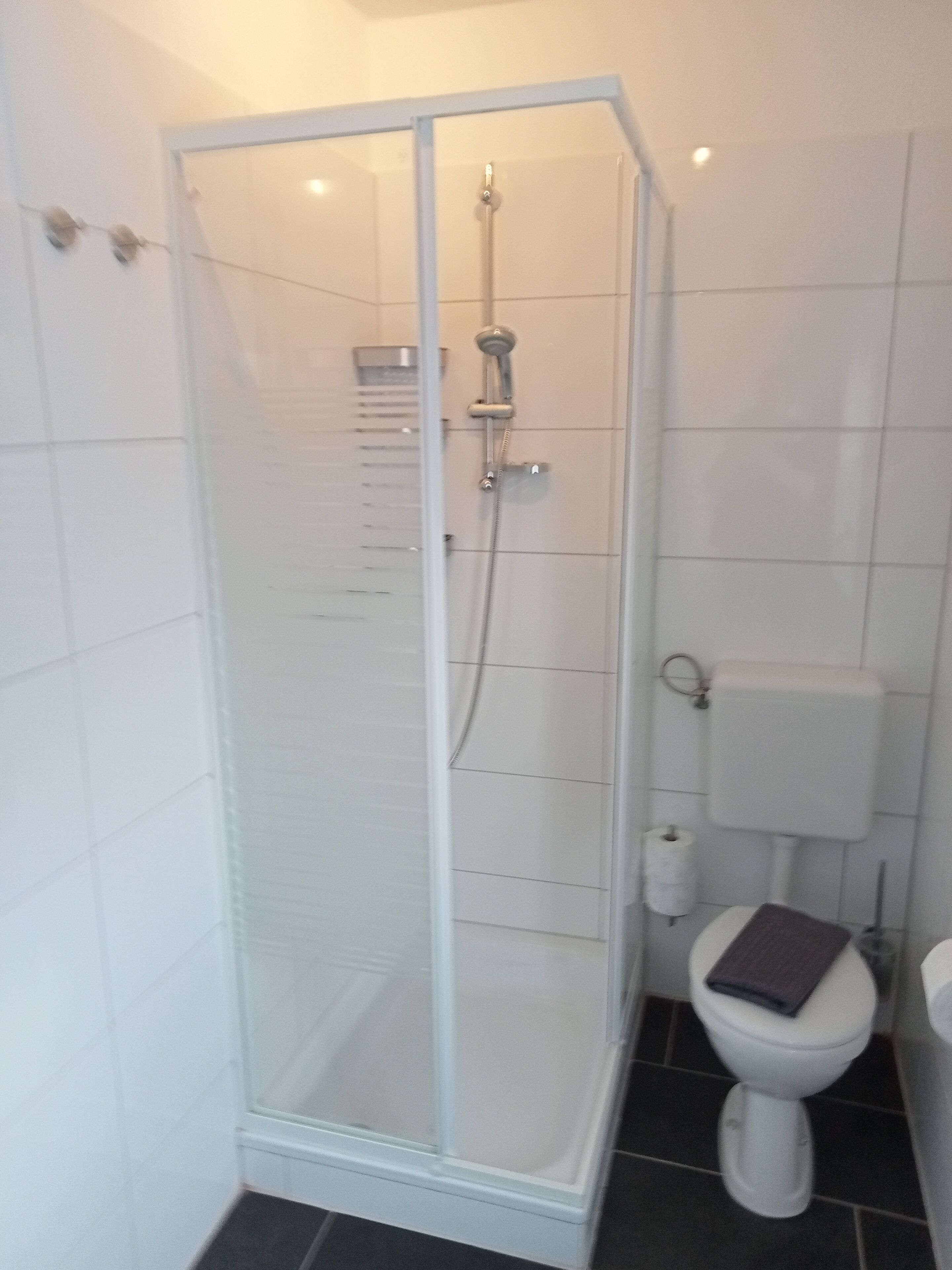 A modern bathroom with a glass-enclosed shower, a toilet, and a bidet.