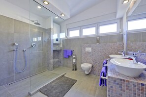 Shower, hair dryer, towels
