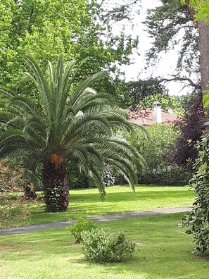 A well-maintained garden with a large palm tree, a small bush, and a pathway leading to a building with a red roof. - BIARRITZ – VACATION RENTAL – 4 PEOPLE – 2 BEDROOMS – PARKING SPACE (Biarritz)