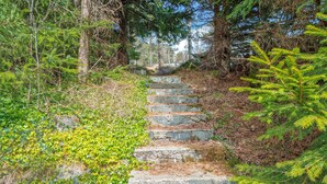 Eine steile Steintreppe, umgeben von dichtem Wald und Grün.