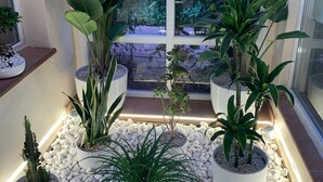 Een potplantenarrangement met diverse planten en een uitzicht op een raam.