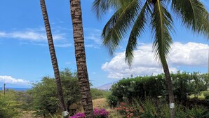A lush garden with palm trees and flowering plants. - Luxurious Kihei Remodeled 2BR Condo Sweeping Ocean Views Near Keawakapu (Kihei)