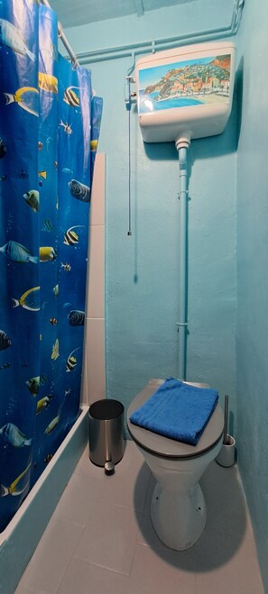 Shower, hair dryer, soap, toilet paper - Appartement Typique Avec Patio (Collioure)