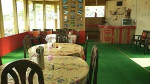 Un comedor con una mesa redonda, sillas y una alfombra verde. Hay ventanas con cortinas, una pared con cuadros y una pequeña zona de bar con un televisor.