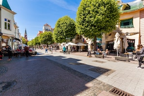 Een geplaveid plein met terrasjes, bomen en historische gebouwen.