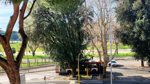 Une vue de rue avec un arrêt de bus, des véhicules en stationnement et des arbres.