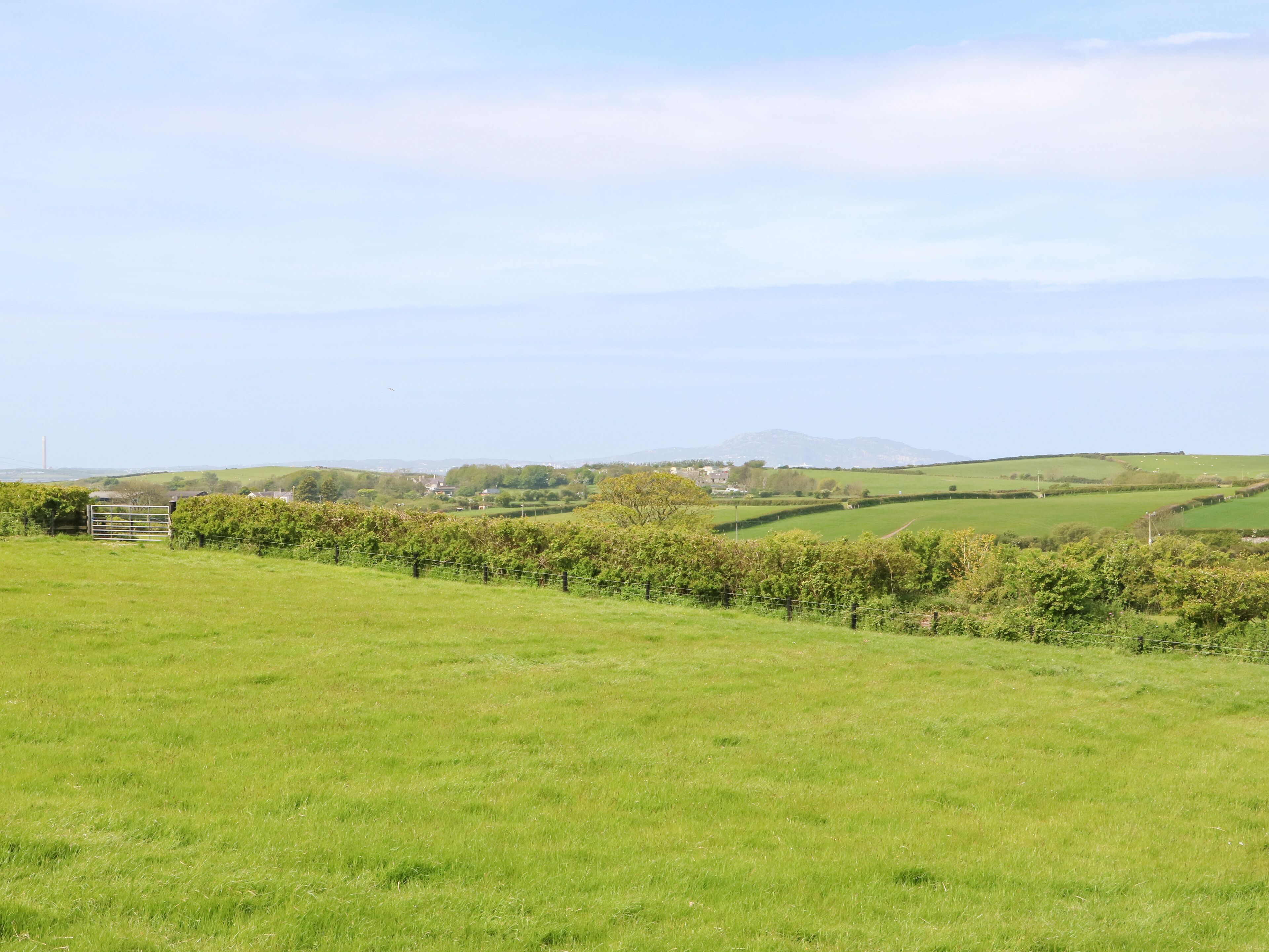 A rural landscape with a vineyard, rolling hills, and a distant town.