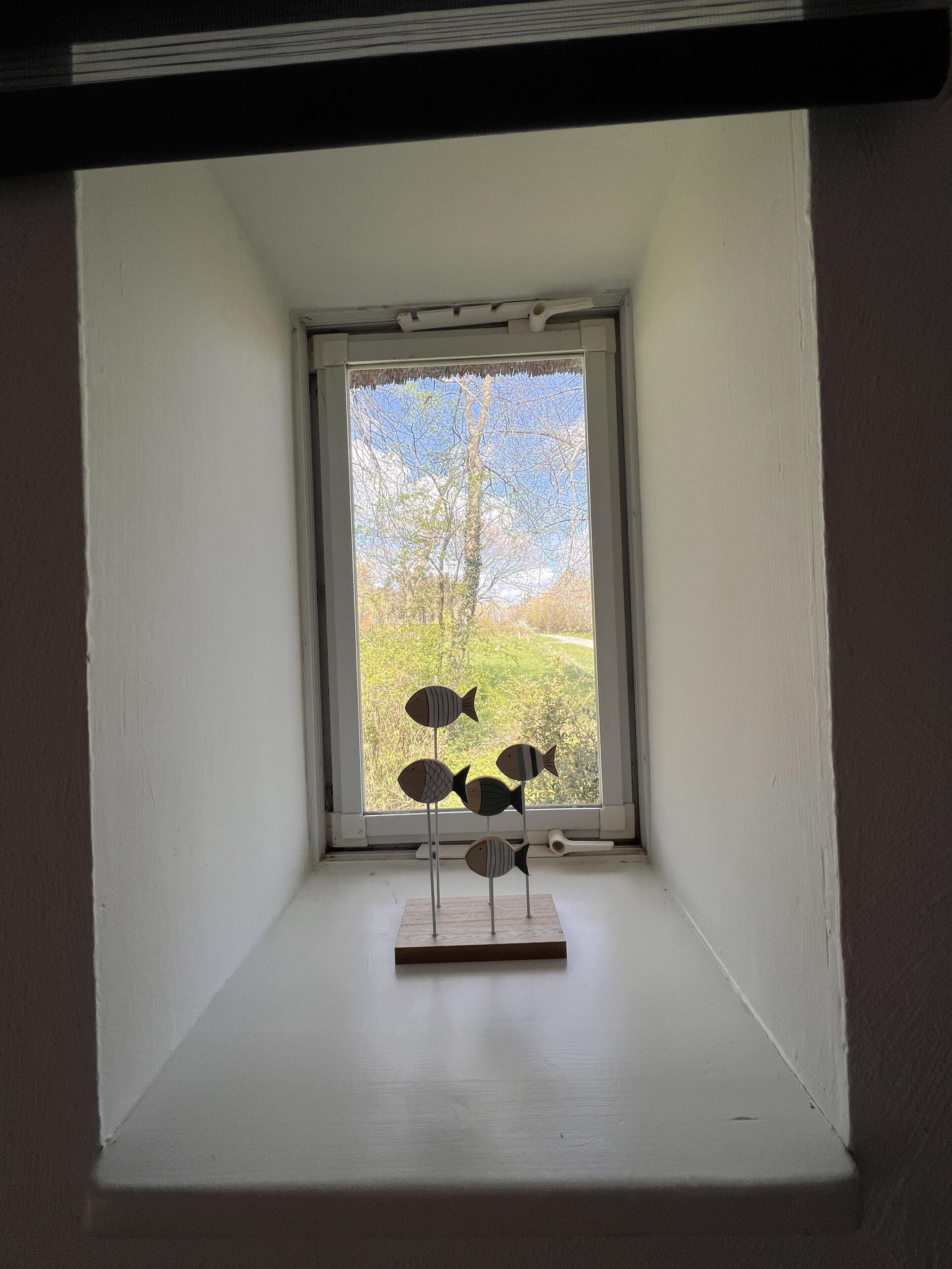 Una ventana pequeña que da a árboles y un cielo despejado.