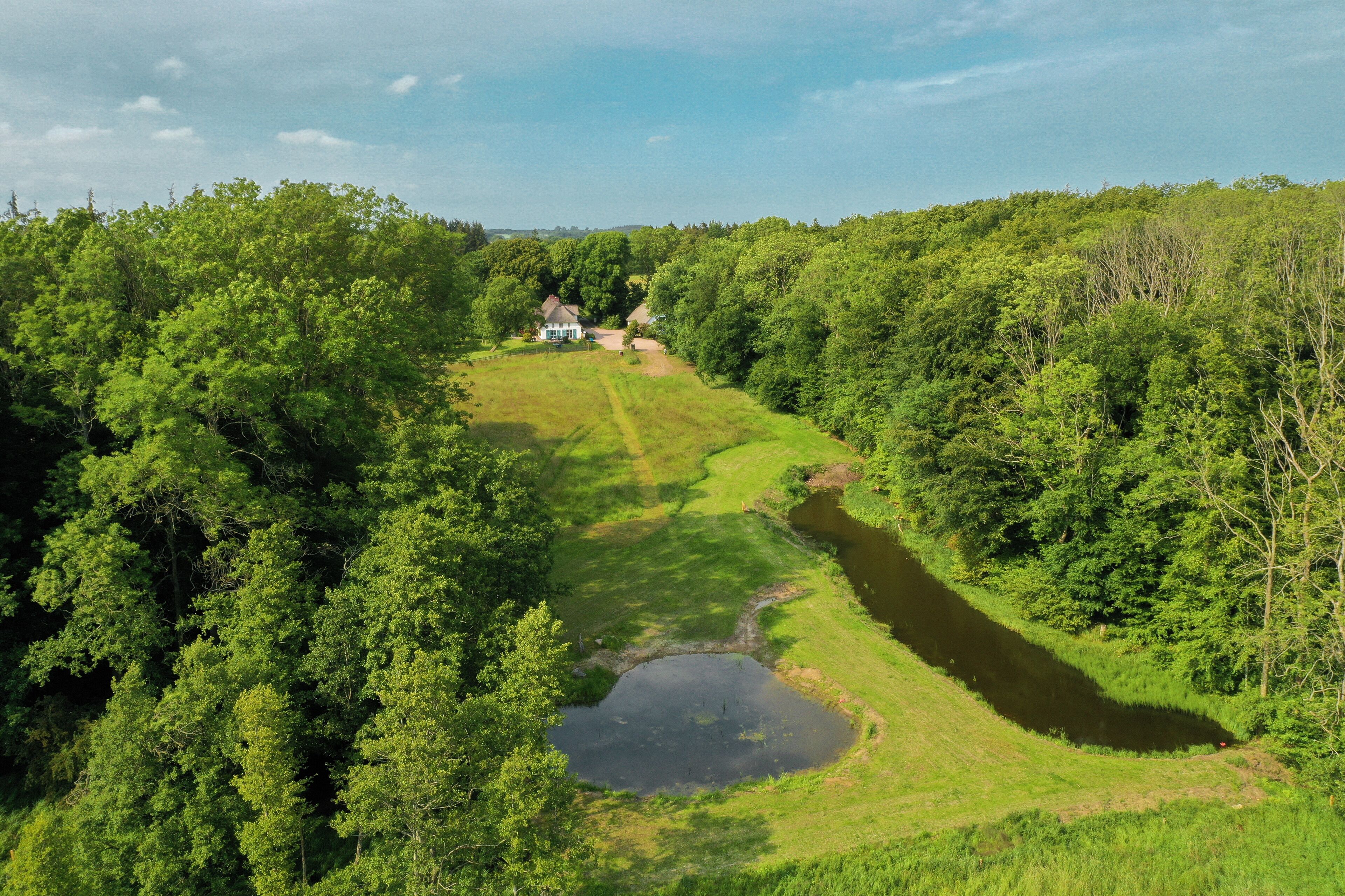 A house surrounded by dense forest with a small pond and a river.